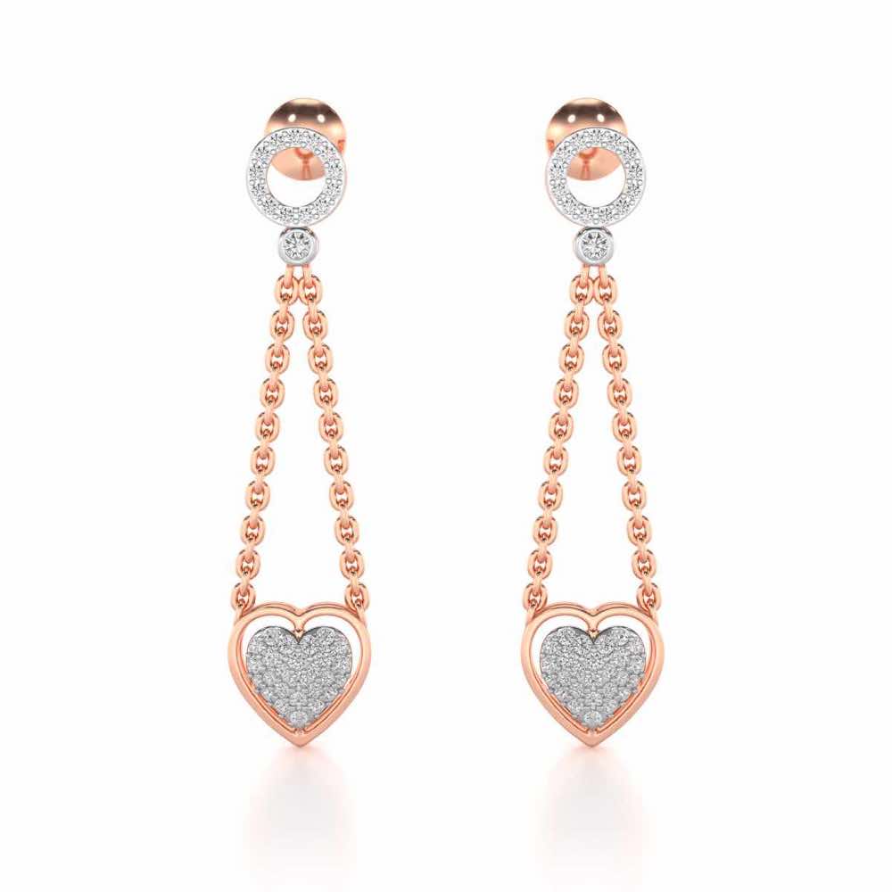 Precious Silver Earrings