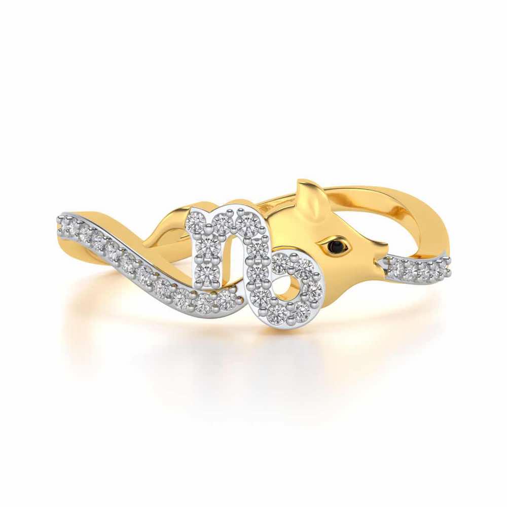 Capricorn Silver Ring - Yellow Gold - Image 5