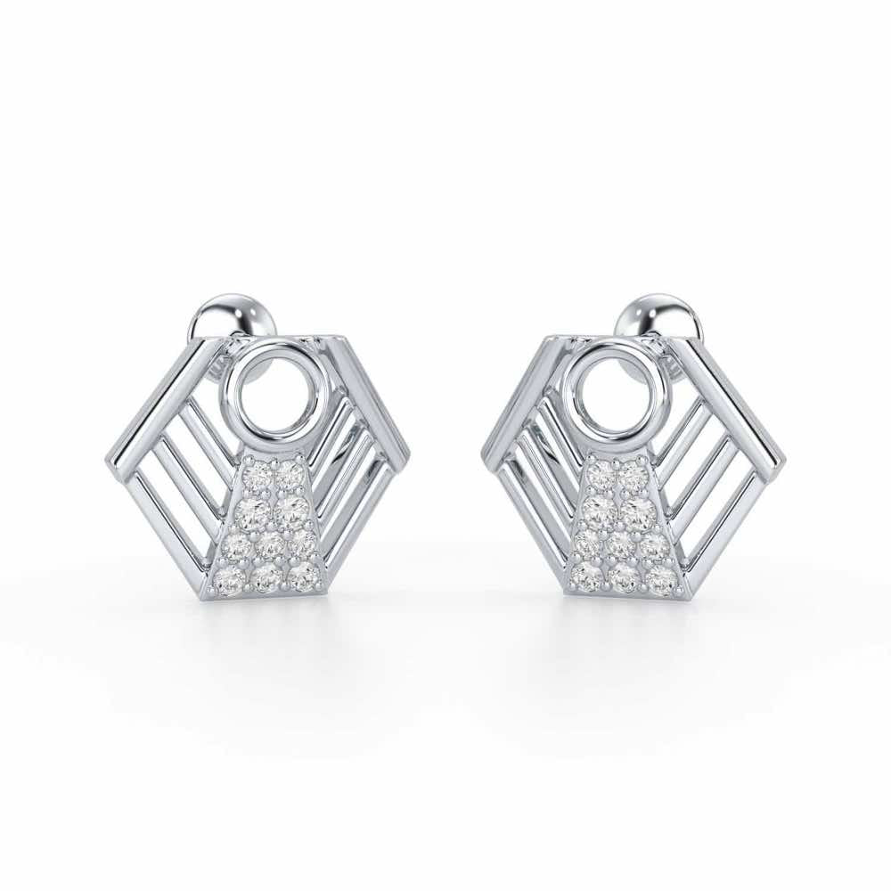 Silver Dynasty Silver Earrings - White Gold - Image 1