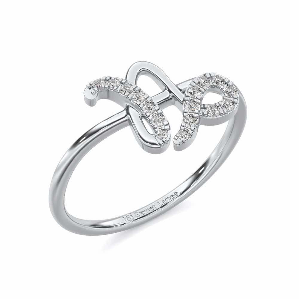 Shiny Capricorn Silver Ring - White Gold - Image 1
