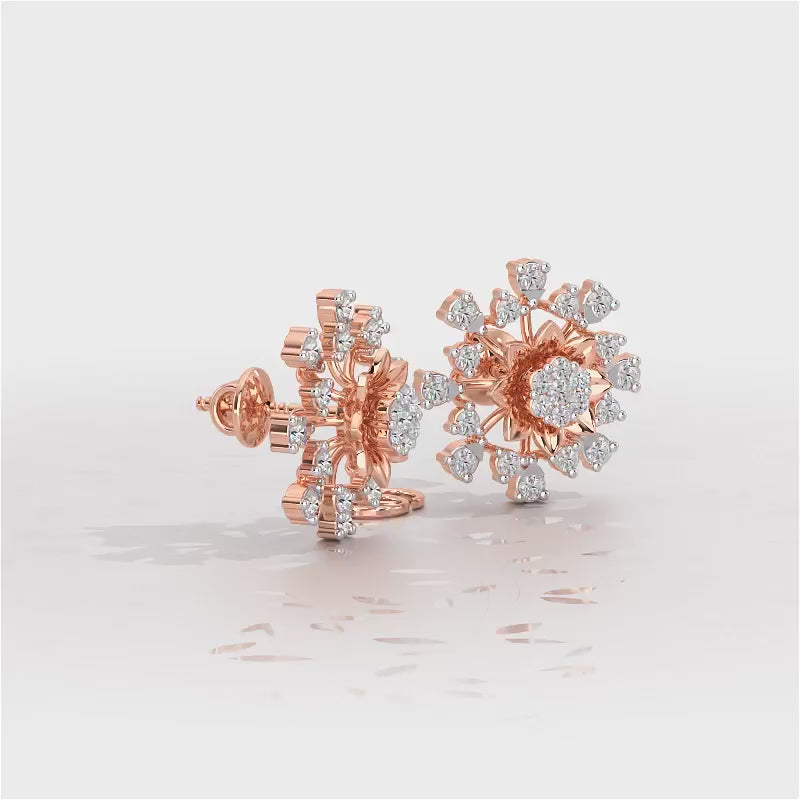 Bliss Elegance Silver Earrings - Rose Gold Video